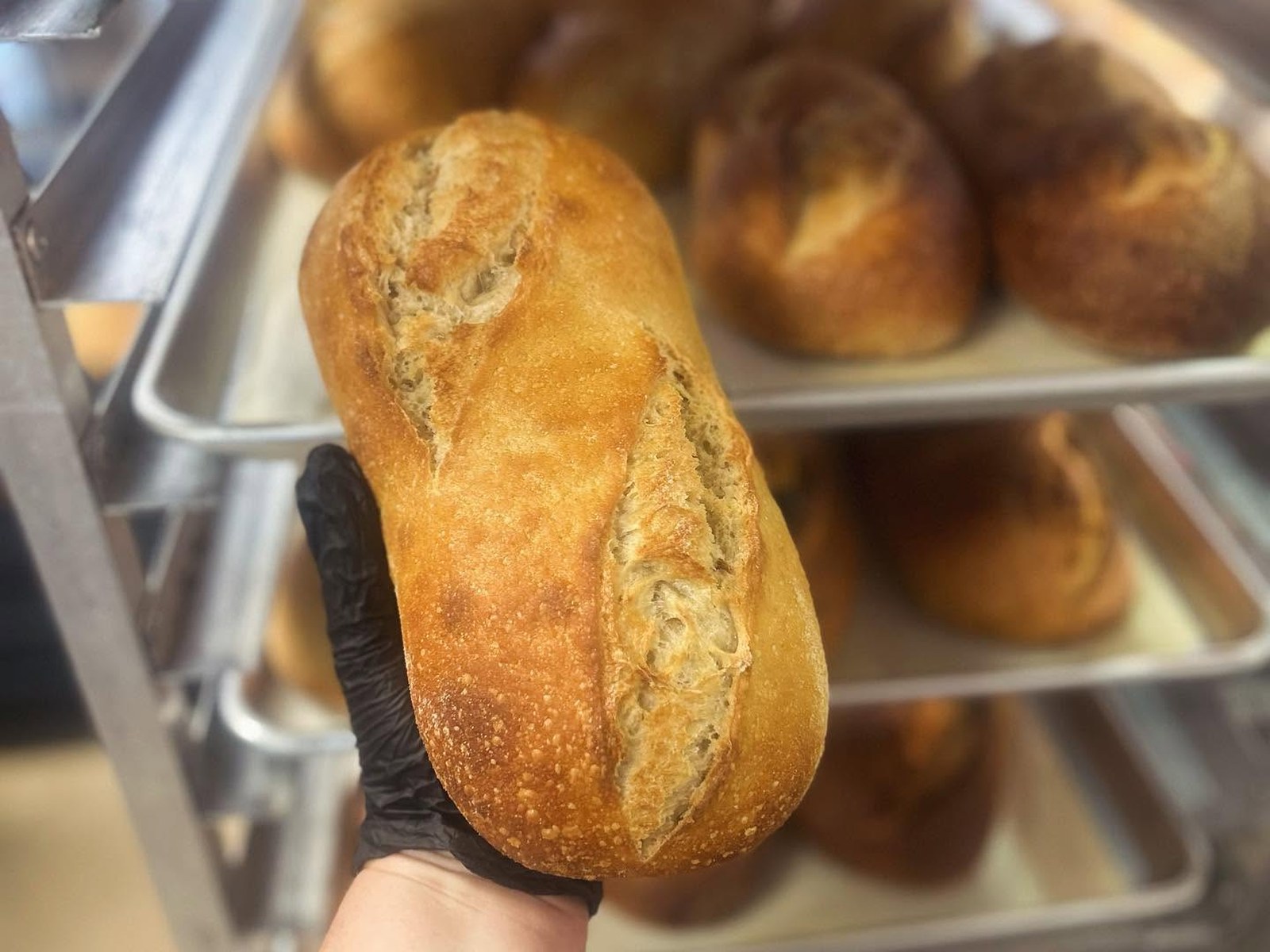 Izzy's Bakery sourdough loaves and fresh breads on the counter